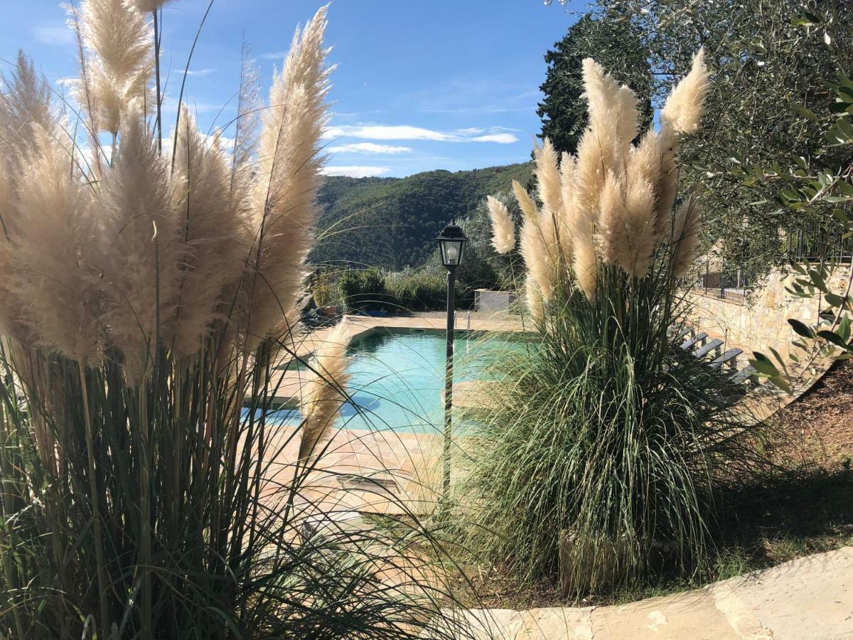 D'arte Agri Pontassieve